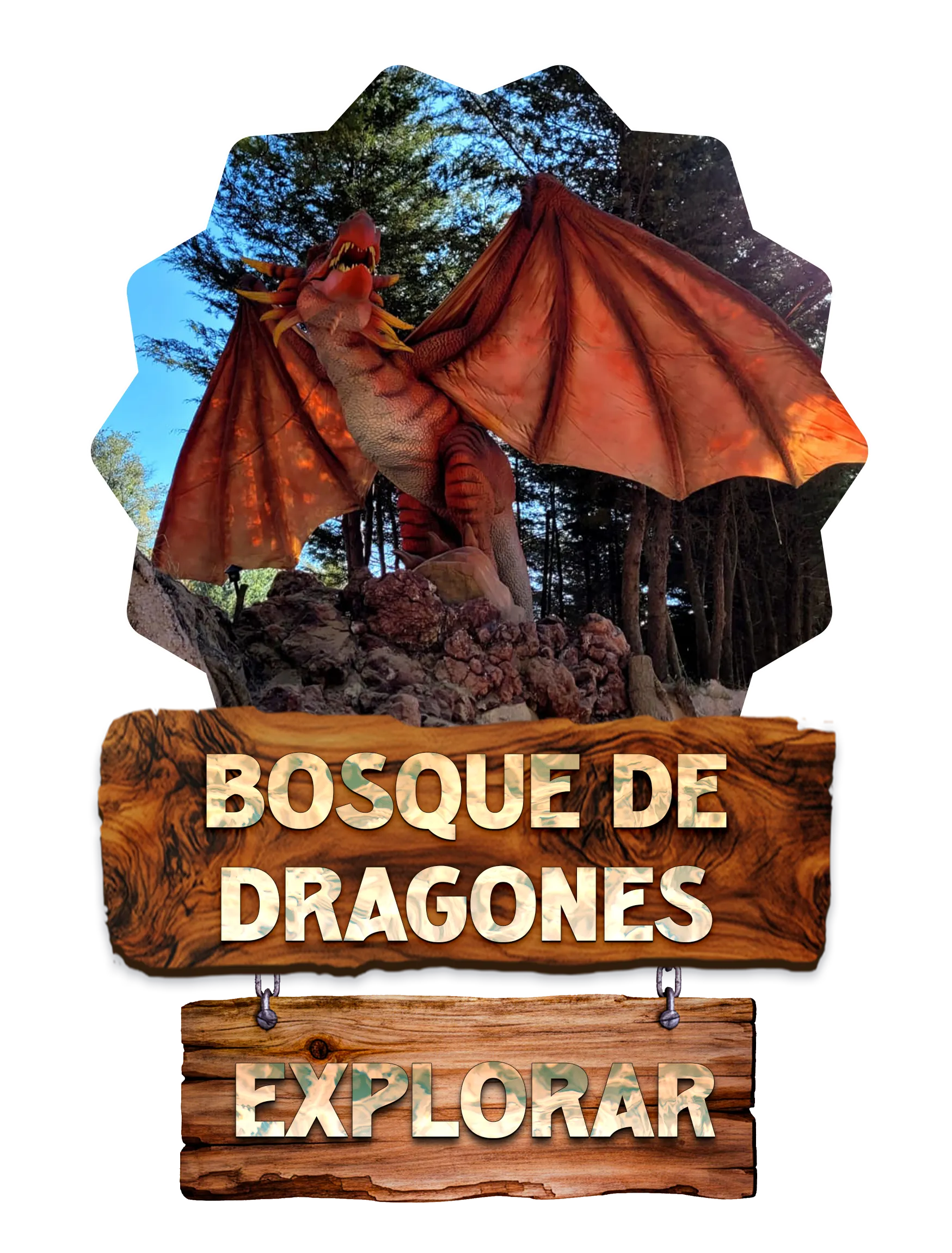 Bosque de Dragones