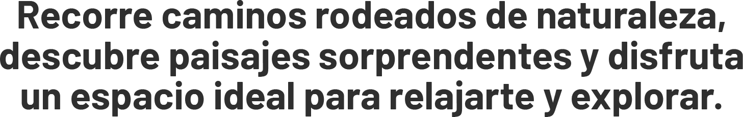 Sendero Mágico