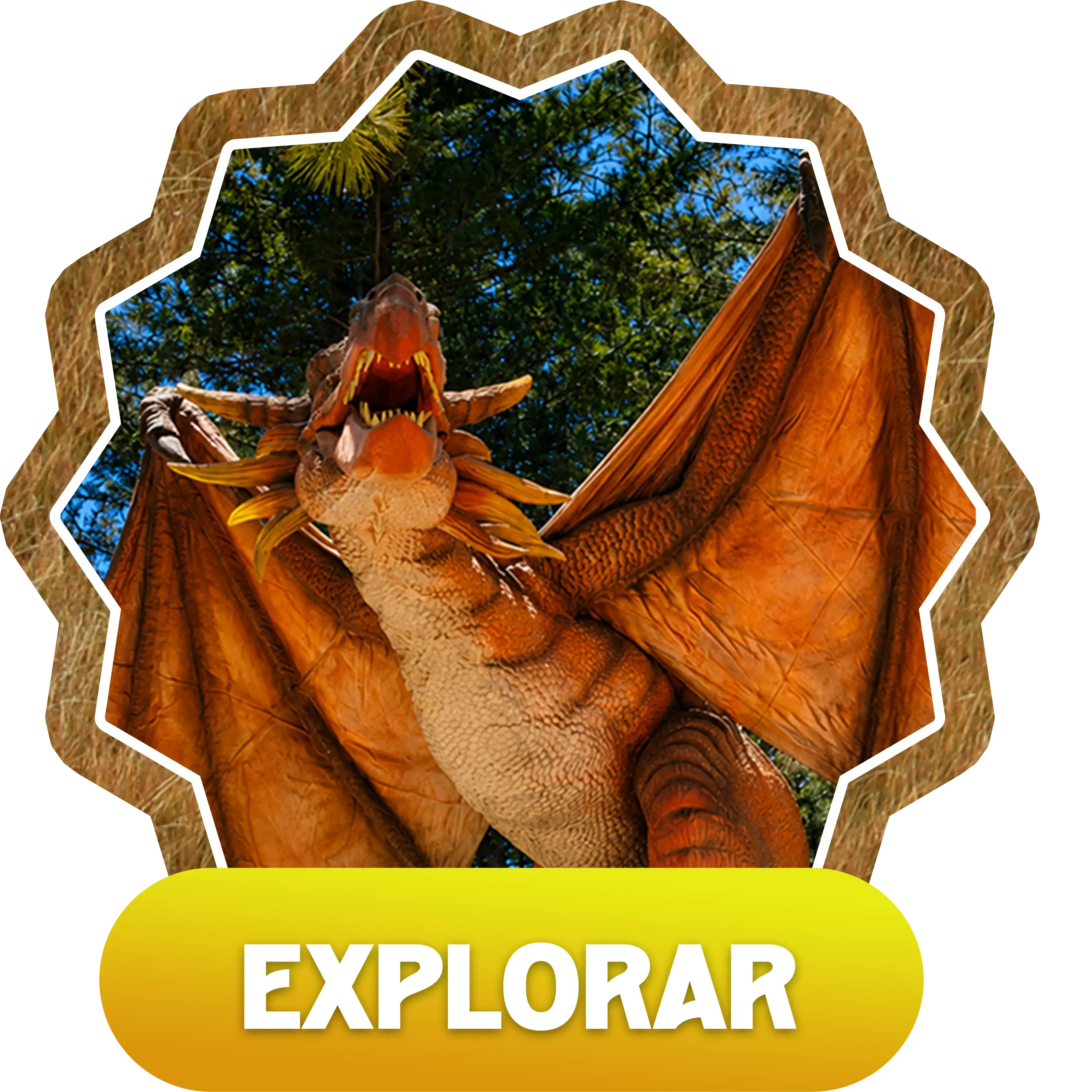 Bosque de Dragones