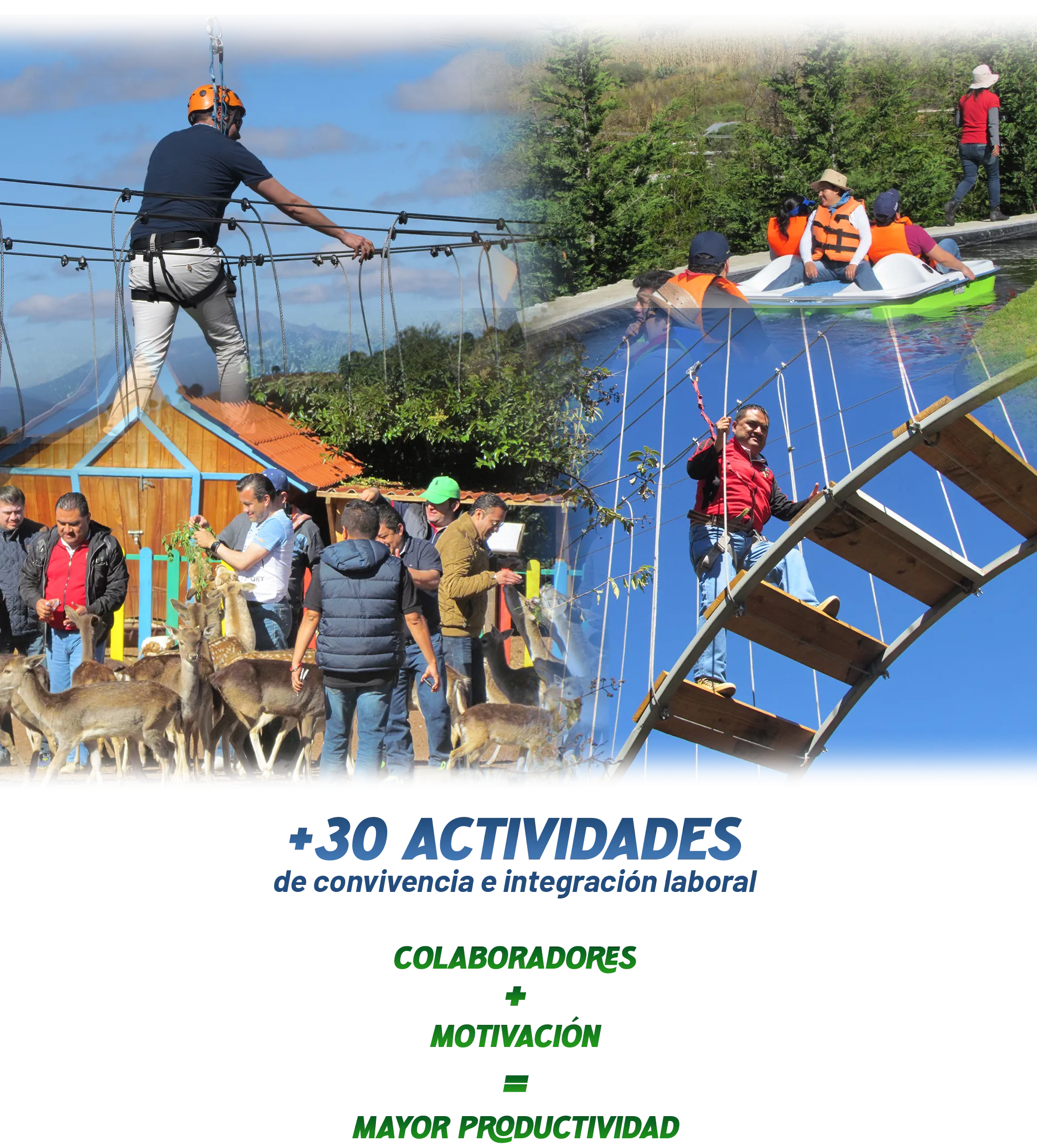 Hospedaje Volcanic Park