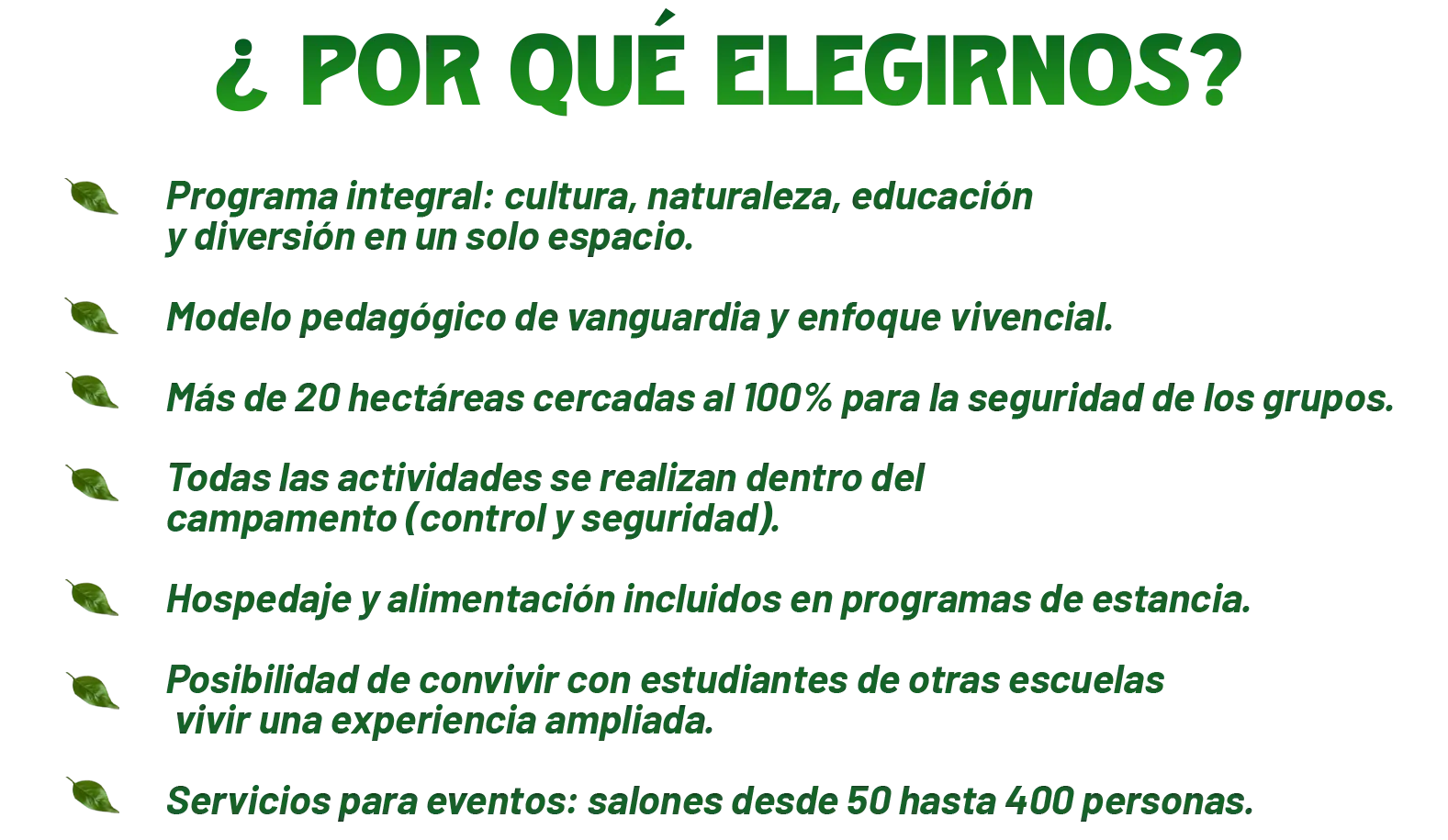 Cabañas en el Bosque