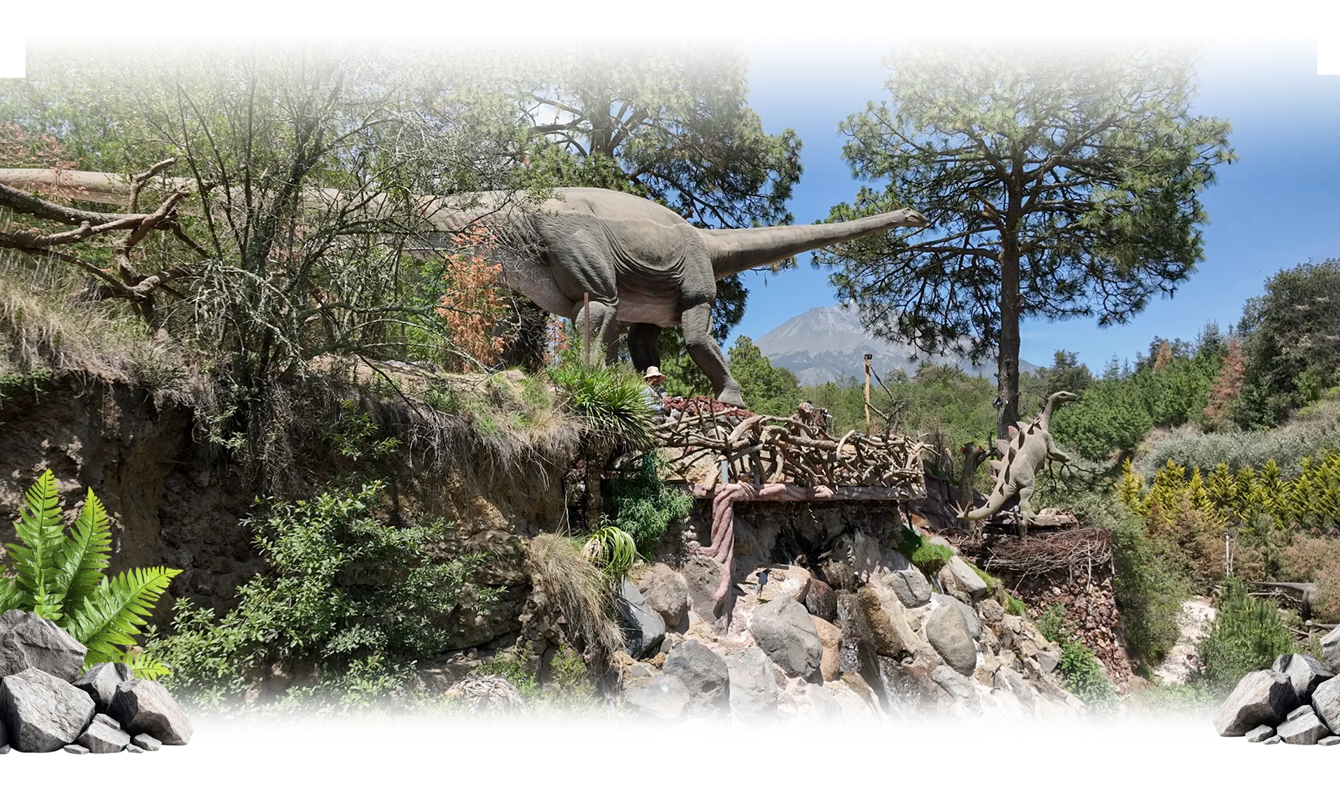 Hospedaje Volcanic Park