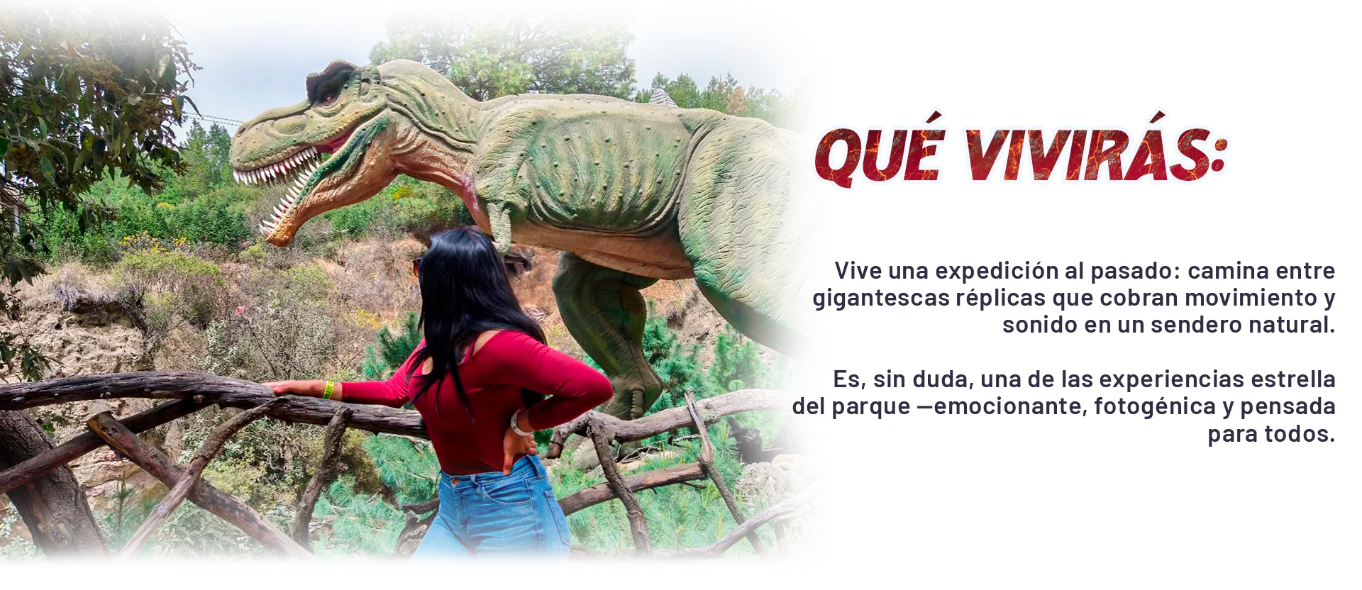 Hospedaje Volcanic Park