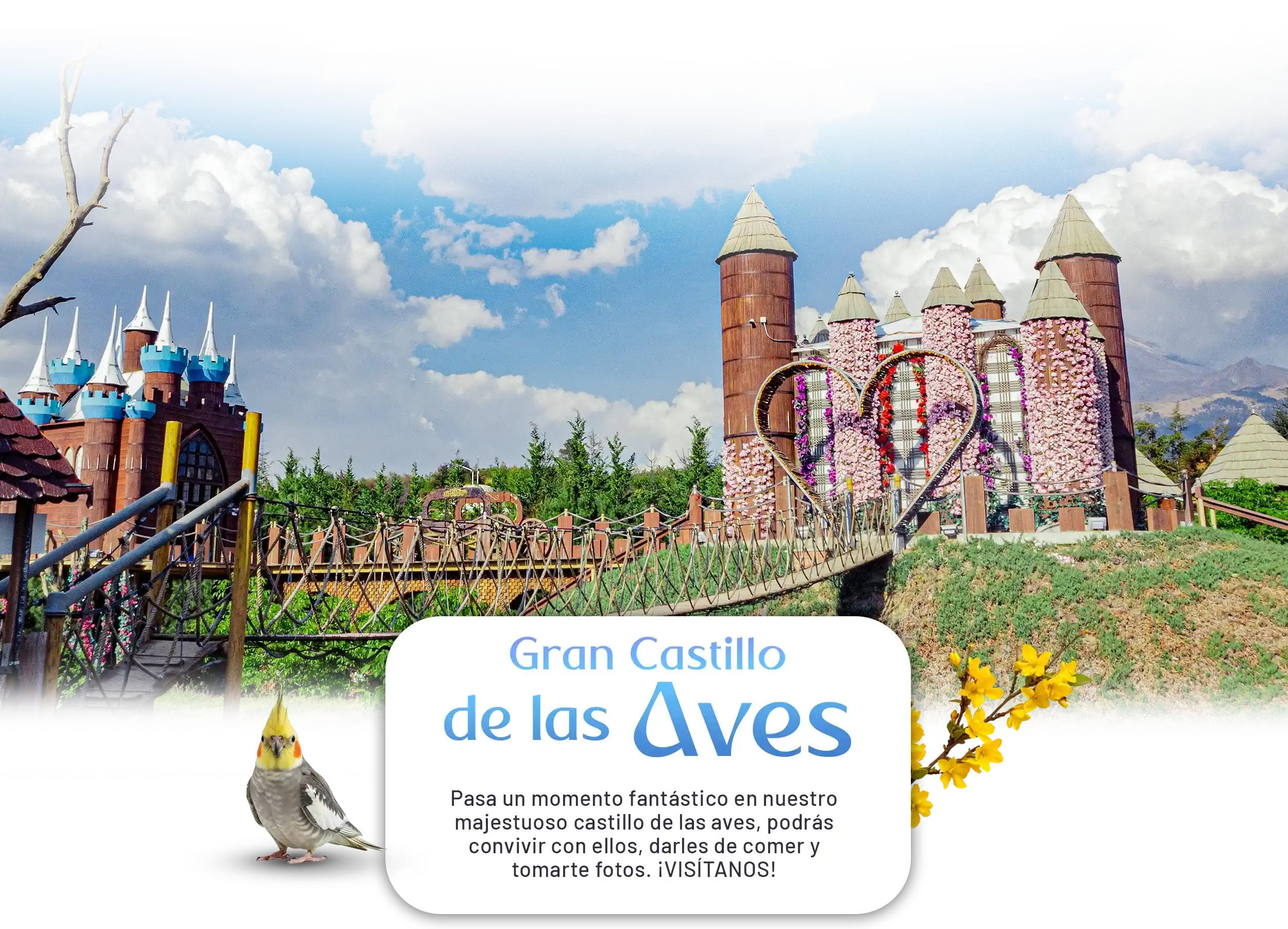 Hospedaje Volcanic Park