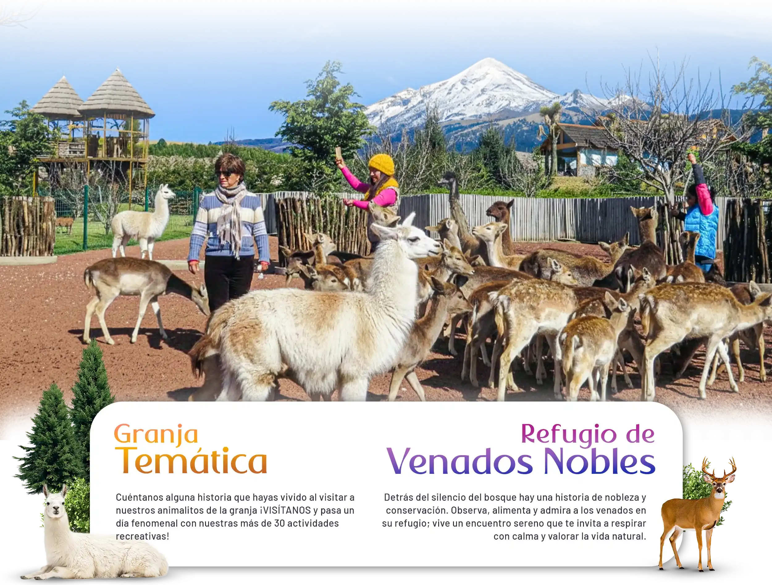 Hospedaje Volcanic Park