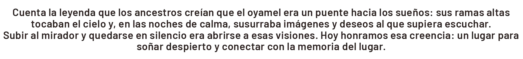 Hospedaje Volcanic Park